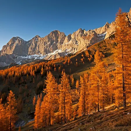 Aloha - Schladming Dachstein * 하우스 임 엔슈탈