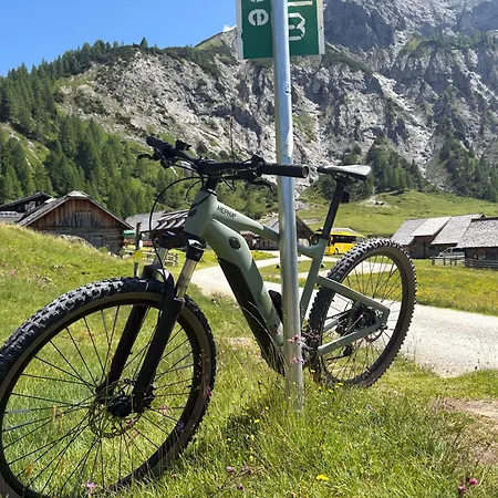 Aloha - Schladming Dachstein 公寓