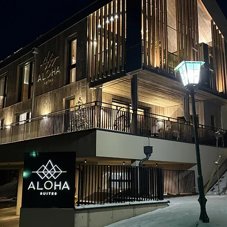 Aloha - Schladming Dachstein Lägenhet *