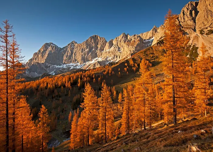 Aloha - Schladming Dachstein * 하우스 임 엔슈탈