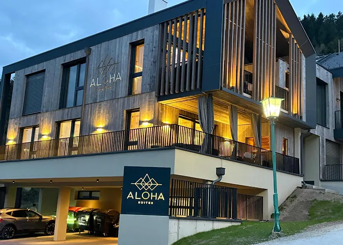 Aloha - Schladming Dachstein Haus im Ennstal